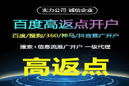 行业领先SEM托管代运营案例